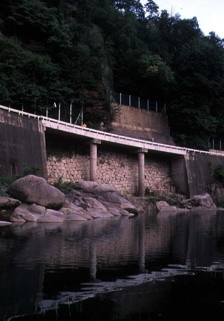 スポットの写真