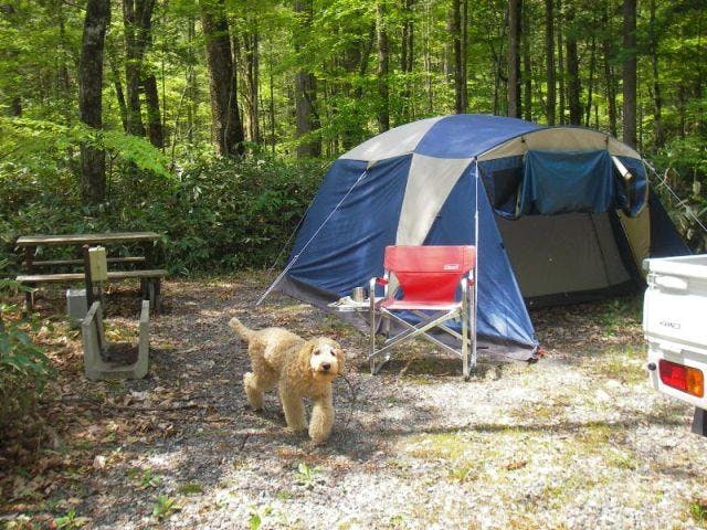 おんたけ森きちオートキャンプ場