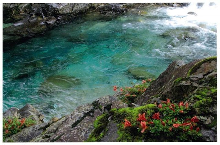 阿寺渓谷ウォーキング