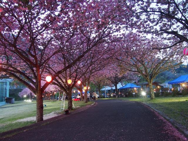 夜桜まつり