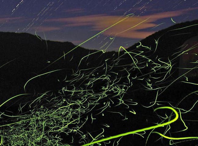 白馬乗鞍高原 ホタルの郷