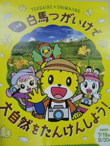 栂池自然園「MIKKETA！」