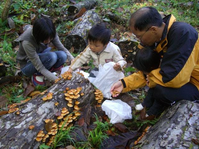 深山遊園北野の郷