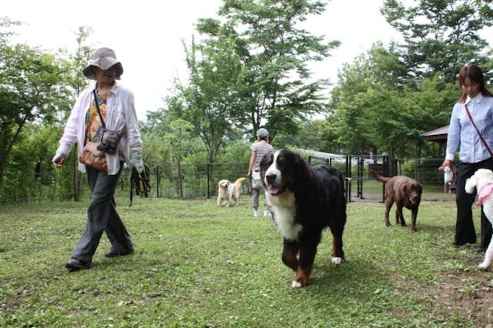 小布施総合公園　ドッグラン広場