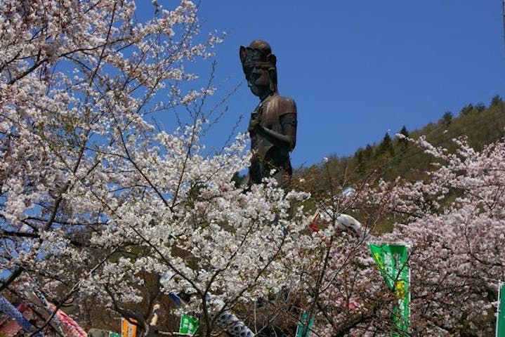 世界平和聖観世音菩薩周辺の桜