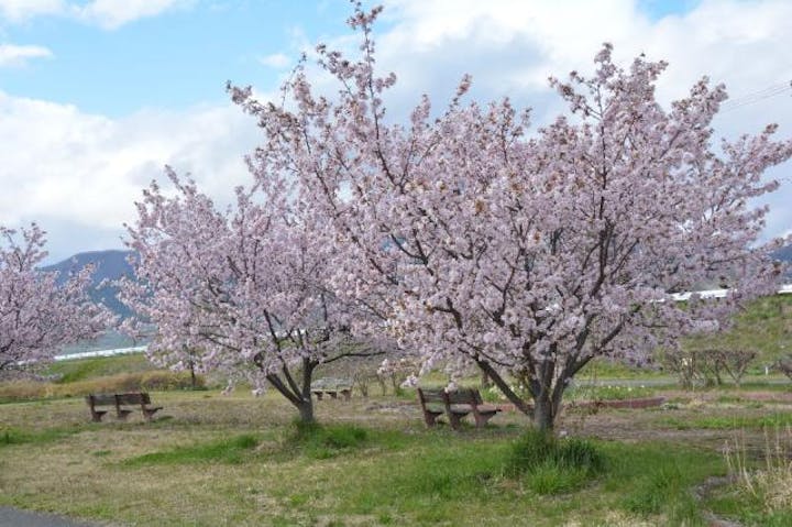 夜間瀬川緑地公園・河川公園