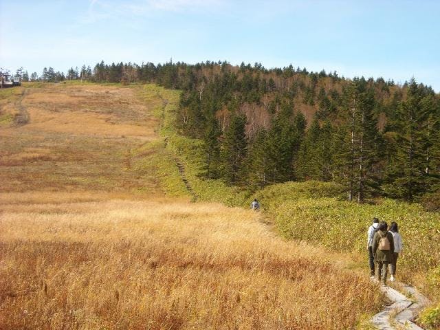 焼額山登山コース