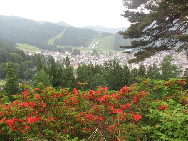 野沢温泉つつじ祭り
