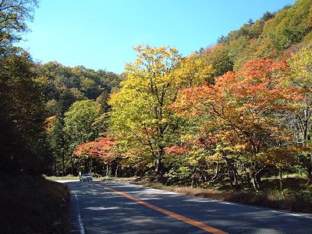 せせらぎ街道の紅葉