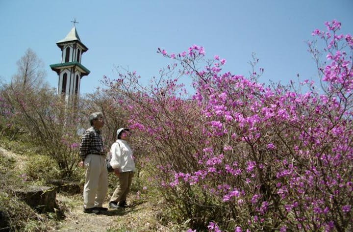 [中止になりました]根の上高原つつじ祭り
