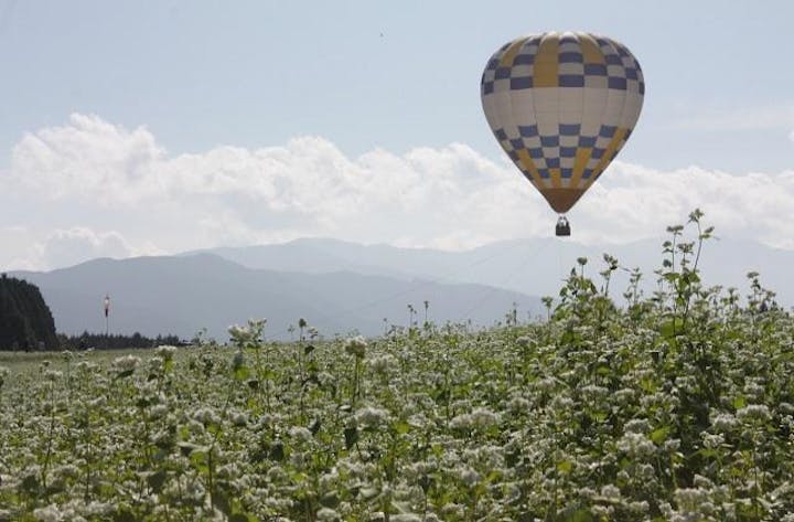 [中止になりました]椛の湖そばの花まつり2021