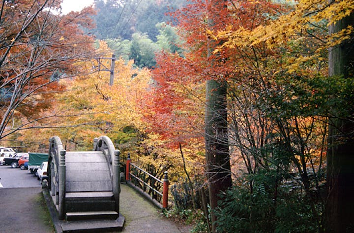 大矢田もみじ谷