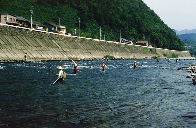 スポットの写真