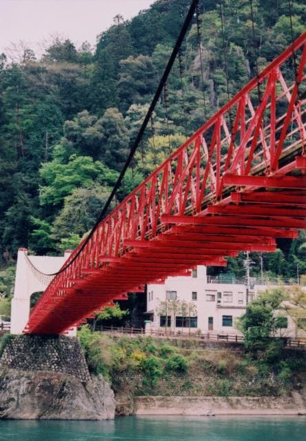 スポットの写真