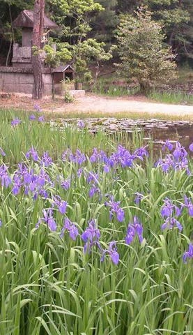 弁財天の池（弁天池）