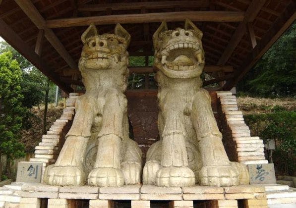 スポットの写真