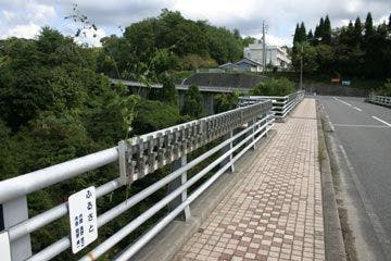 スポットの写真