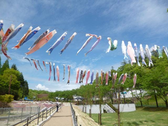 こいのぼり祭（岐阜県瑞浪市）