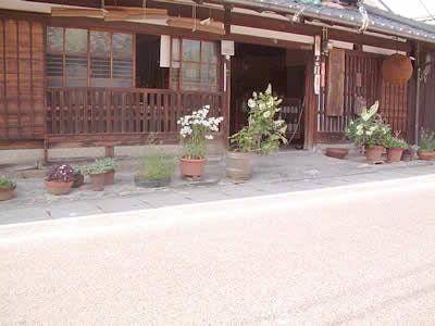 スポットの写真