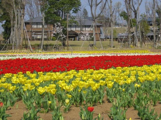 ぎふ清流里山公園