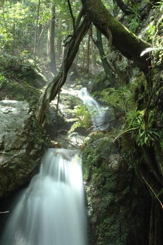 奥山自然遊歩道