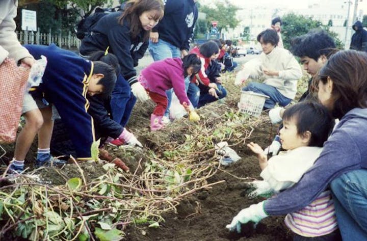 観光いもほり園