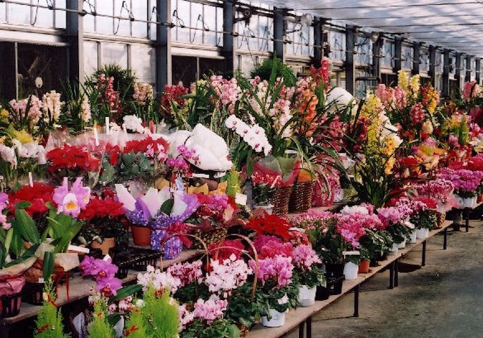 日本ライン花木センター