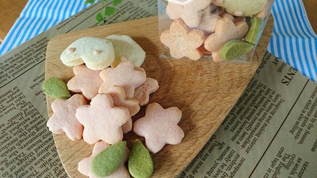 スポットの写真