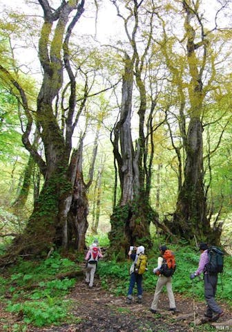 天生県立自然公園