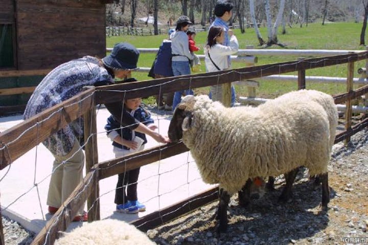 奥飛騨山之村牧場