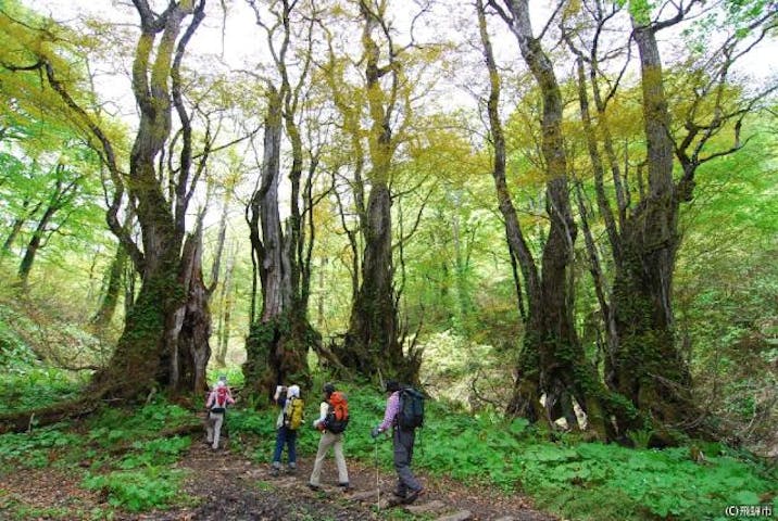 天生峠ハイキングコース