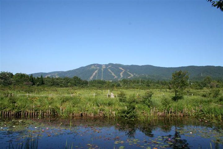 ひるがの湿原植物園