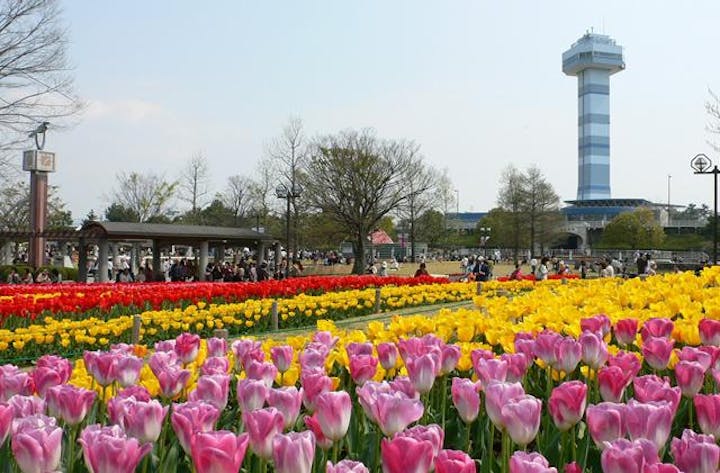 木曽三川公園チューリップ祭