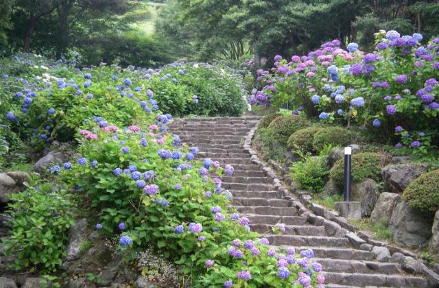 スポットの写真