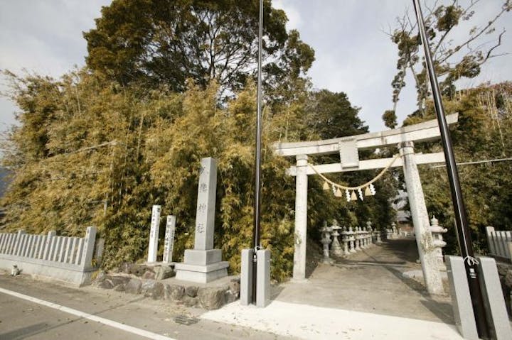梶屋八幡神社の社叢（カンチク）