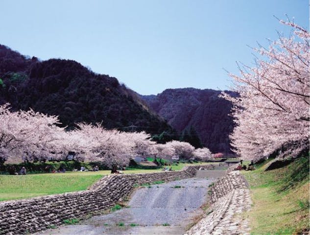 羽根谷だんだん公園
