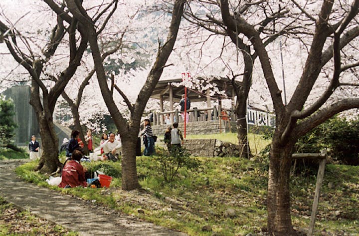 吉田出来山公園