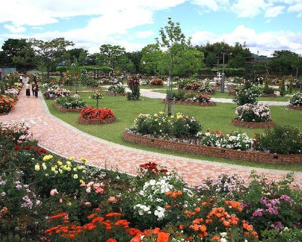ばら公園いこいの広場