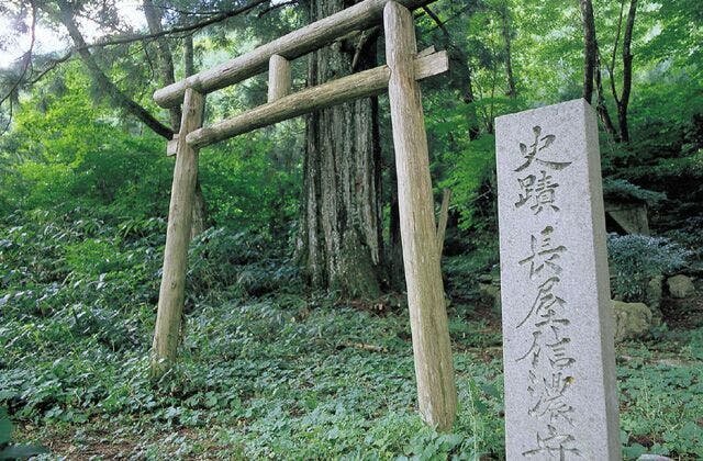 スポットの写真