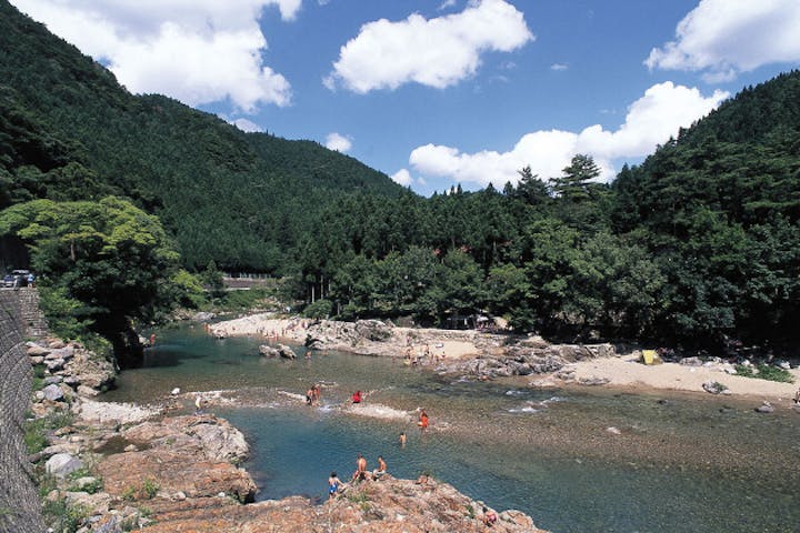 すぎのこキャンプ場