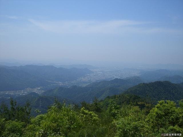 納古山