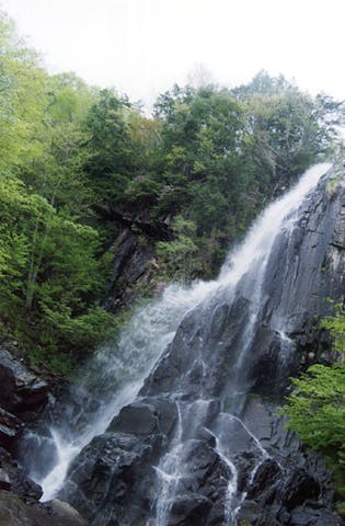 森林公園おおくら滝