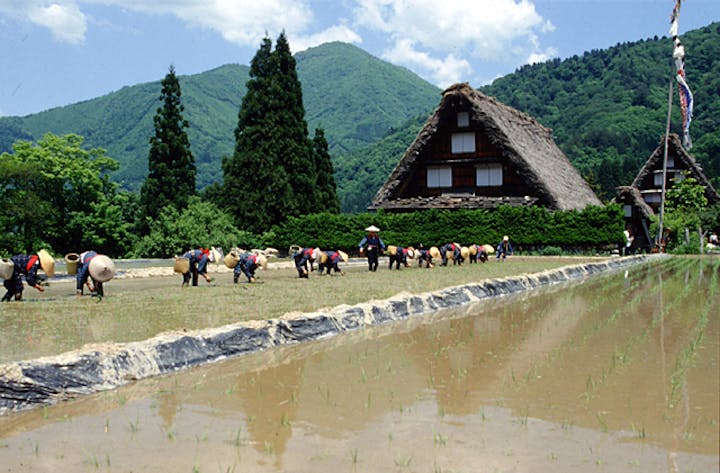 【2021年開催中止】白川郷田植えまつり