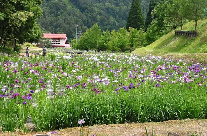 飛騨市森林公園