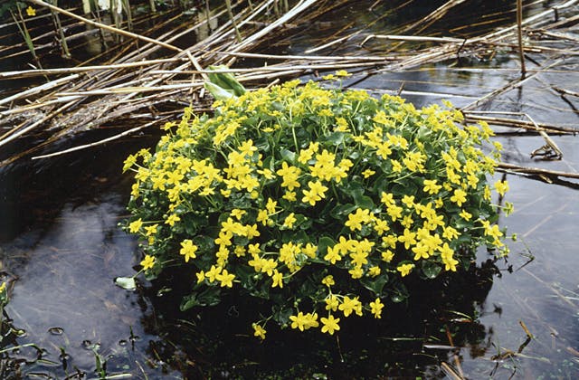 スポットの写真