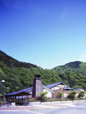梅ケ島新田温泉黄金の湯
