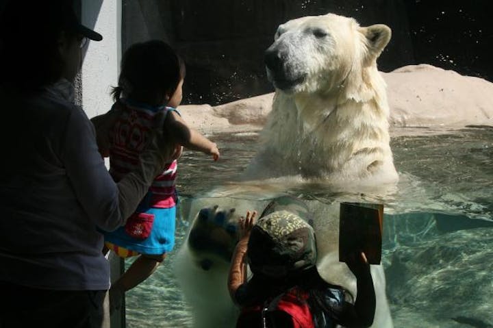 静岡市立日本平動物園 アソビュー