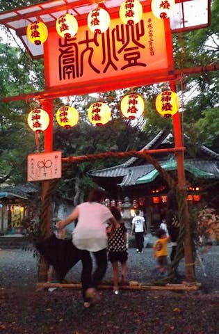 輪くぐりさん（和歌宮神社夏祭）