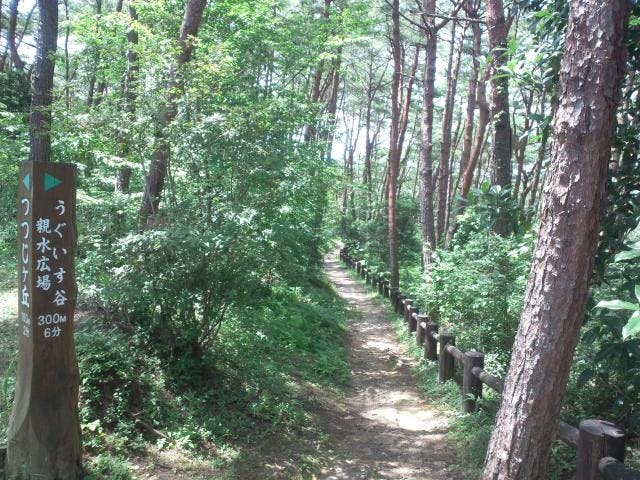 森林公園西まわりコース自然歩道