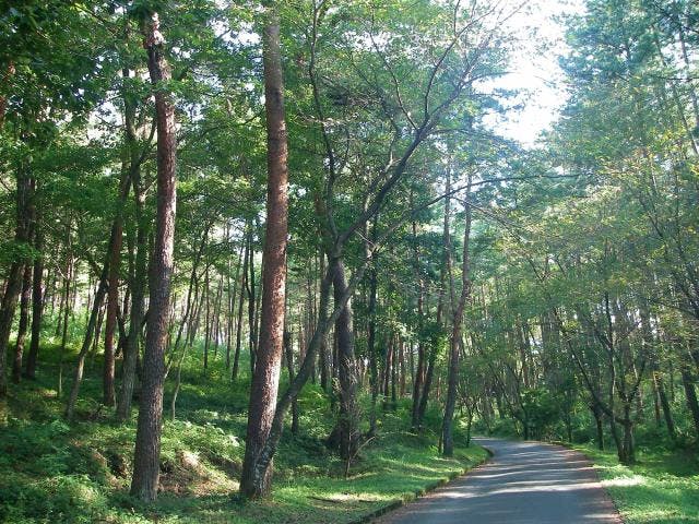 静岡県立森林公園